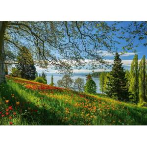 Schmidt Spiele - Puzzle Tulips Field - Mainau Island - 1 000 piese