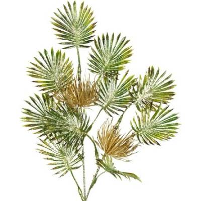 Vetvička s palmovými listami 68 cm