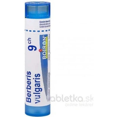 Berberis Vulgaris gra.1 x 4 g 9CH