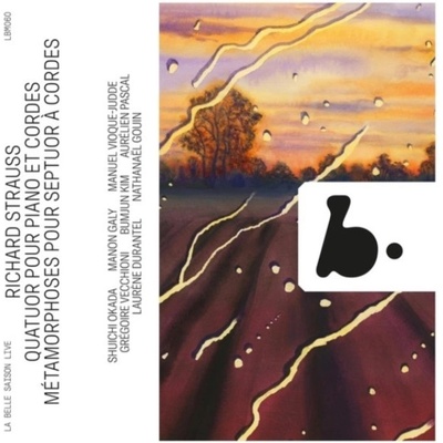 B RECORDS TRIO ARNOLD MANON GALY GREGOIRE VECCHIONI AURELIEN PASCAL LAURENE DURANTEL NATHANAEL GOUIN - Richard Strauss - Quatuor Pour Piano Et Cordes. Metamorphoses Pour Septuor A Cordes Liv