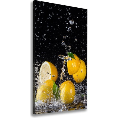 Vertikálny moderný obraz canvas na ráme Citron 50x100 cm