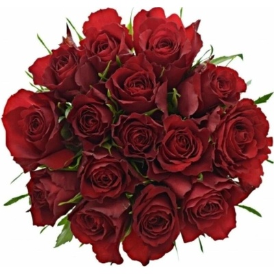 Kytice 15 červených růží RED CALYPSO 70 cm