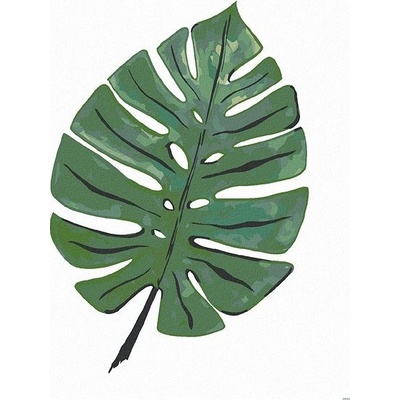 zuty Malování Podle Čísel List Monstera Ale x andria Gilbert 80 x 100 Cm Plátno Rám