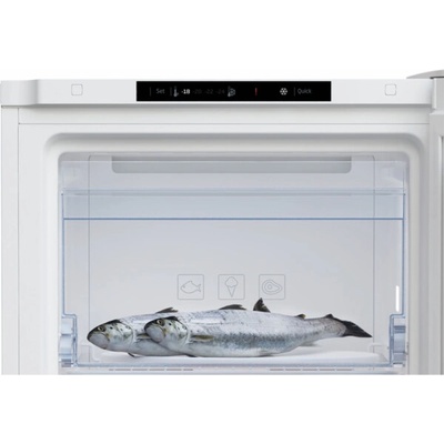 Beko RFNM200T40WN
