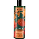 Vis Plantis Šampon regenerace a hydratace 400 ml