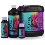 ATAMI B'cuzz Blossom Builder Liquid 50ml