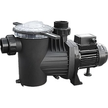 Saci pumps WINNER 150T