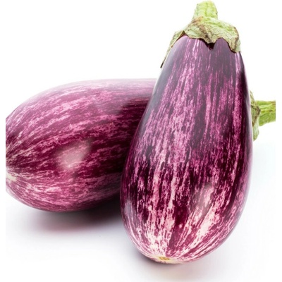 Lilek okrasný Tsakoniki Solanum melongena prodej semen 10 ks