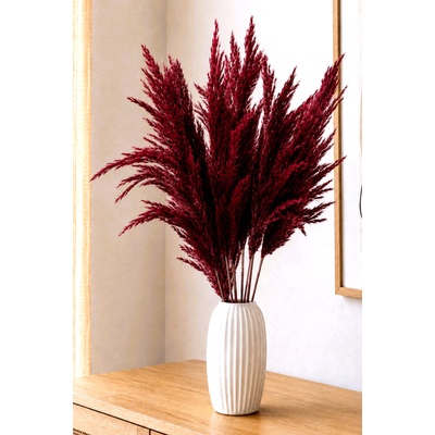 Sušená pampová tráva (pampas) vínová svazek 10ks, 50cm-60cm