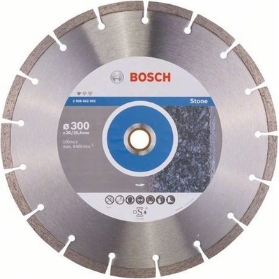BOSCH Diamantový dělicí kotouč standard for stone 300 x 20/25,40 x 3,1 x 10 mm
