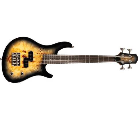 Flight Mini Bass PBR