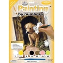 Malování podle čísel Pejsek s kuřátkem