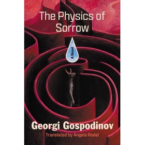 The Physics of Sorrow | Angela Rodel (ISBN: 9781324094890)