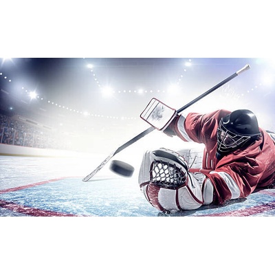 Plagát, Obraz - Ice Hockey Goalie, Dmytro Aksonov, 40 × 22.2 cm