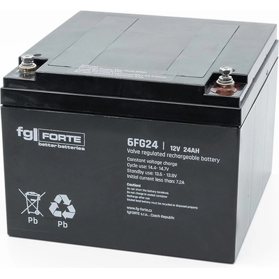fgForte 12V 24Ah 6FG24