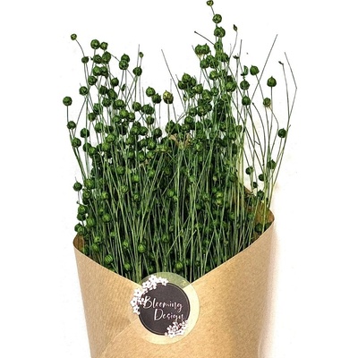 Sušený len zelený, kytice/svazek 50g