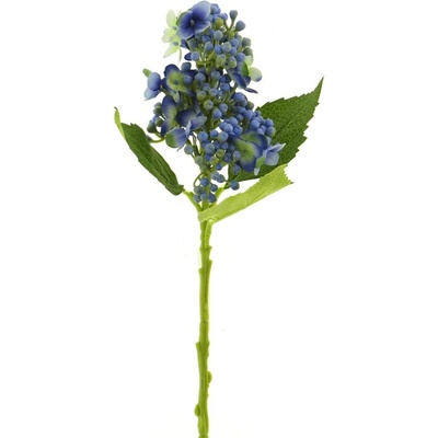 Hortenzie - Hydrangea pučící modrá V38 cm (N936824)
