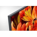 Image 1 of Sony Bravia KD-85XF8596