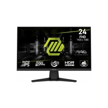 MSI MAG 244F