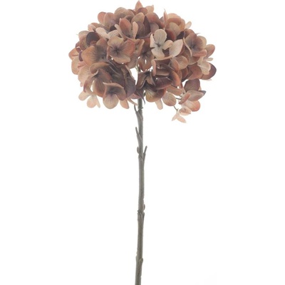 Podzimní hortenzia spray hnědá V 46 cm