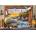 Castorland - Puzzle Marine to Life - 1 000 piese