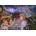Grafika Art Puzzle - Puzzle Josephine Wall: A Nightingale Sang in Berkeley Square - 1 000 piese