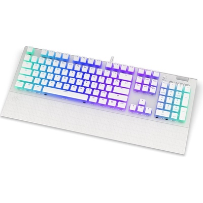 Endorfy Omnis OWH P. Kailh BL RGB EY5A034