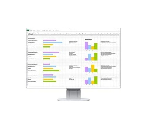 Eizo EV2456