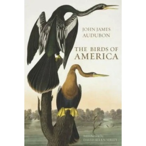 Birds of America | John-James Audubon (ISBN: 9780565093396)