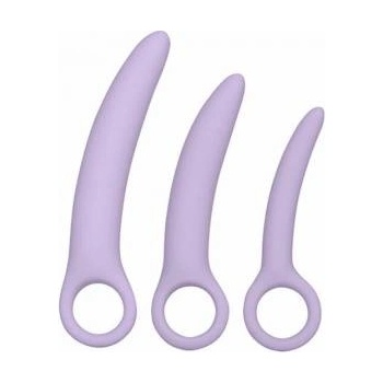 Boss of Toys CalExotics Dr. Laura Berman Alena Silicone Dilator Set, 3 Sizes