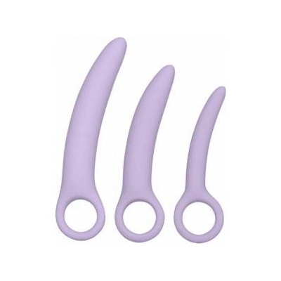 Boss of Toys CalExotics Dr. Laura Berman Alena Silicone Dilator Set, 3 Sizes