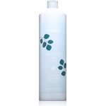 Echosline Frequent Shampoo шампоан за ежедневно миене на коса 1000ml