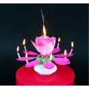 Godan Hrajúca tortová sviečka ružová