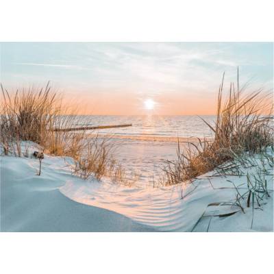 Fototapeta vliesová Wallarena 3D pláž more duny 368x254 cm
