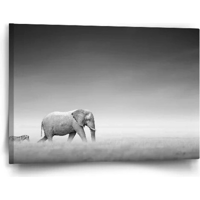 Sablio Obraz Slon a zebra - 60x40 cm