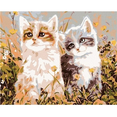 Zuty Malování podle čísel Koťata a luční kvítí 100 x 80 cm bez rámu a bez vypnutí plátna