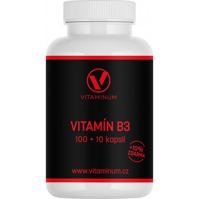 Vitaminum Vitamín B3 niacin 500 mg 110 tablet