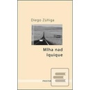 Mlha nad Iquique