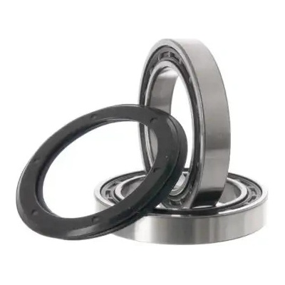 Campagnolo Ultra Torque USB CERAMIC RECORD, 2 ks