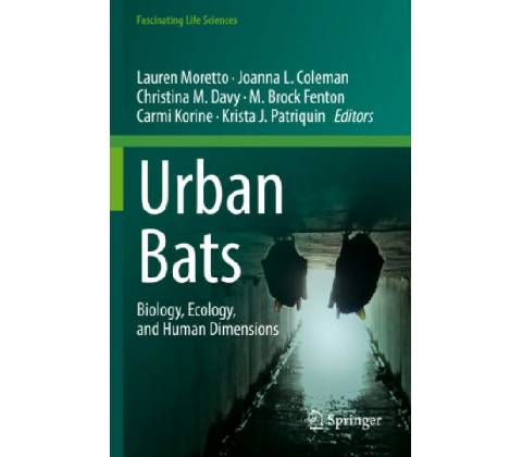 Urban Bats
