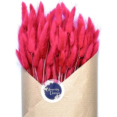 Sušený lagurus (králičí ocásek) fuchsiový 45g