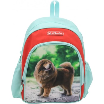 Herlitz Детска раница Cooll, мотив Boss - Herlitz