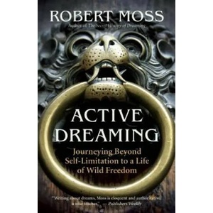 Active Dreaming (2011)