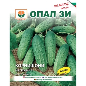 Image 1 of Opal Zi Корнишони Регина f1