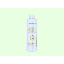 LR Health Beauty Lifetakt Mind Master Formula Gold 500 ml