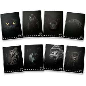 Pigna Monocromo Black A4 38 листа карирана тетрадка P1111-0387 (P1111-0387)