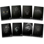 Pigna Monocromo Black A4 38 листа карирана тетрадка P1111-0387 (P1111-0387)