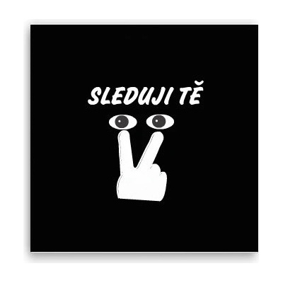 Fotoobraz 40x40 cm Sleduji tě