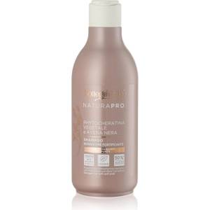 Bottega Verde Zenzero подсилващ шампоан За коса 250ml