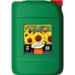 Dutchpro pH- Bloom 20L